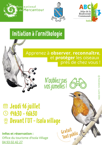 Atals de la biodiversité d'Isola - Initiation à l'ornithologie._Isola