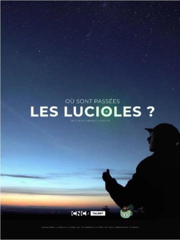 Où sont passées les lucioles ?_Roure