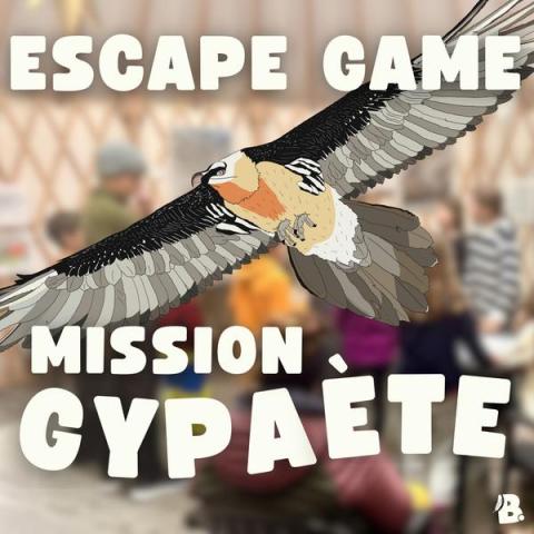 Escape Game gypaète._Saint-Étienne-de-Tinée