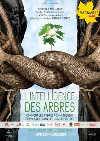 L'intelligence des arbres_Roure
