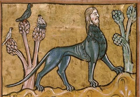 Conférence : Bestiaire imaginaire, chimères et légendes de la faune des montagnes_Barcelonnette - Manticore, Bestiaire du 13e siècle, Rochester