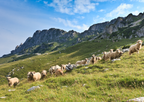 Rando Gourmande_Tende