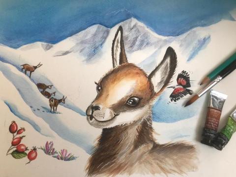 Viens dessiner les animaux du Mercantour !_Isola 2000