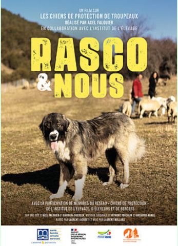 Rasco et nous - Au voisinage des chiens de protection des troupeau_Entraunes