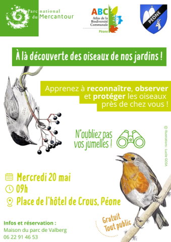 À la découverte des oiseaux de nos jardins !_Péone