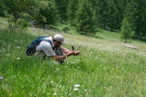 Inventaire de la biodiversité_Valberg