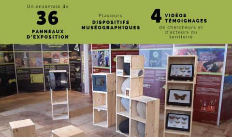 Expo "Coup de Projecteur sur la Biodiv" - Expo Biodiv invisible
