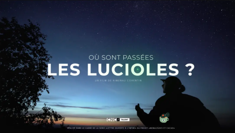 Soirée ciné nature "Où sont passées les lucioles ?"_Moulinet - Soirée ciné nature "Où sont passées les lucioles ?"