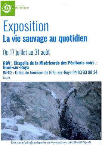 Exposition "La vie sauvage au quotidien"_Breil-sur-Roya - Exposition "La vie sauvage au quotidien"_Breil-sur-Roya