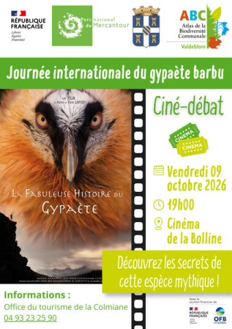 ciné-débat_gypa.png