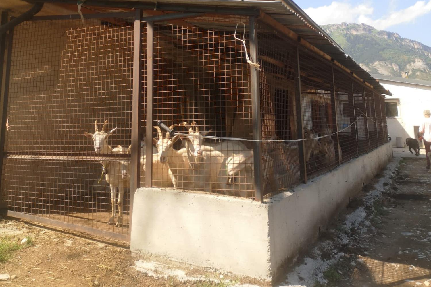 Bergerie où les chèvres sont rentrées chaque nuit © Sonia, médiatrice pastorale / PnM