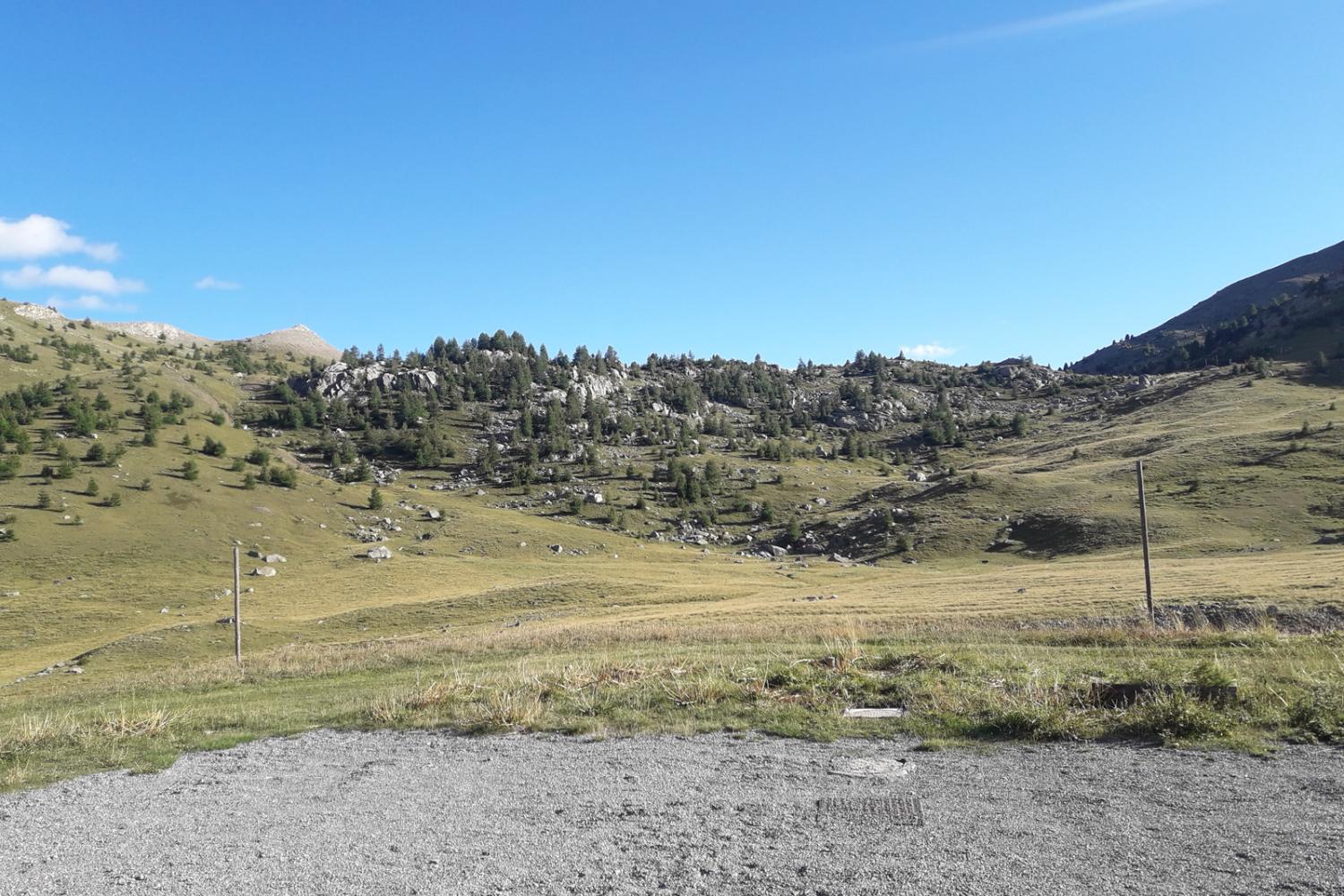 Col de la Cayolle © M. Bensa / PnM