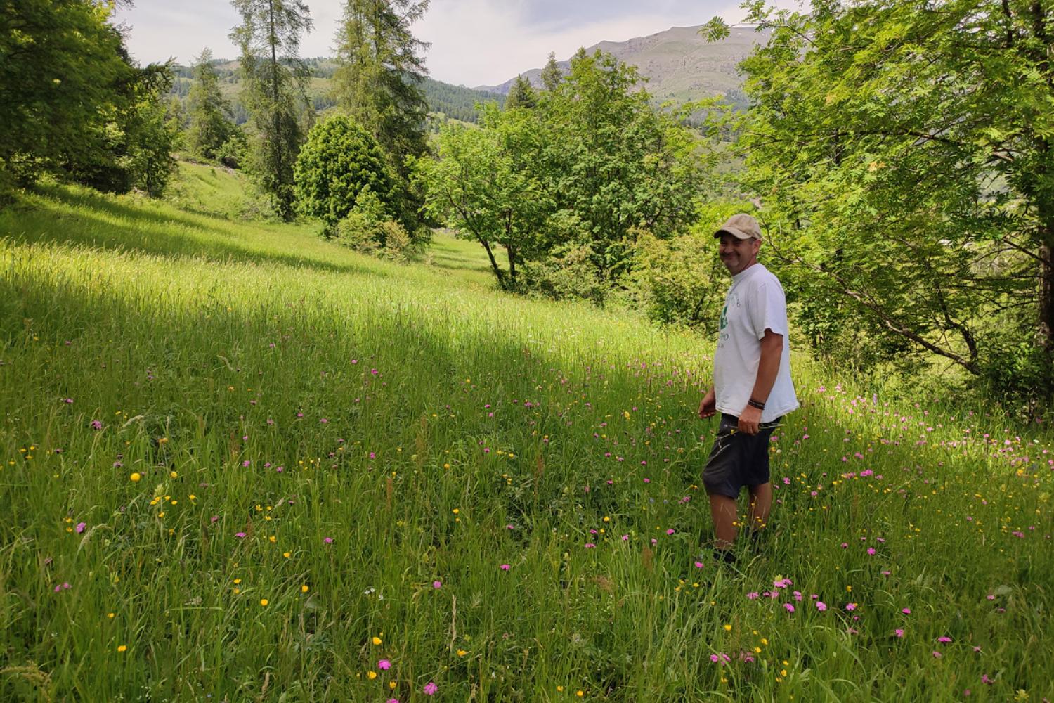 Eleveur du secteur Haut Var Cians, au sein de l'une de ses prairies fauchées, juin 2024 © D. Lepolard / PnM