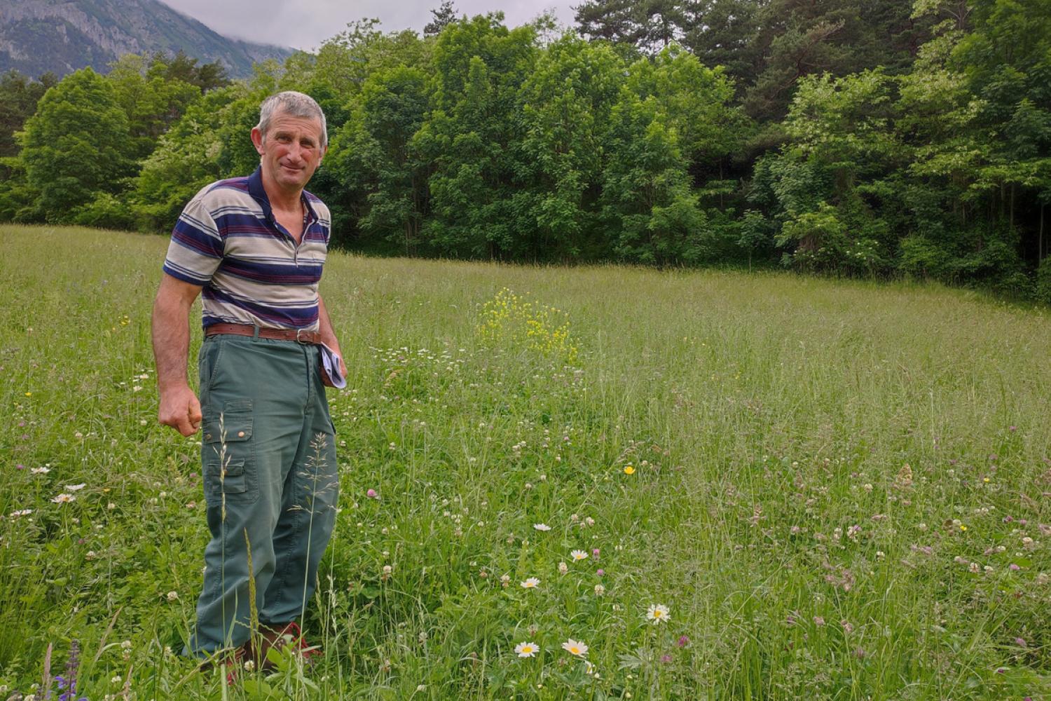 Eleveur de la Roya Bévéra, au sein de l'une de ses prairies fauchées, juin 2024 © D. Lepolard / PnM