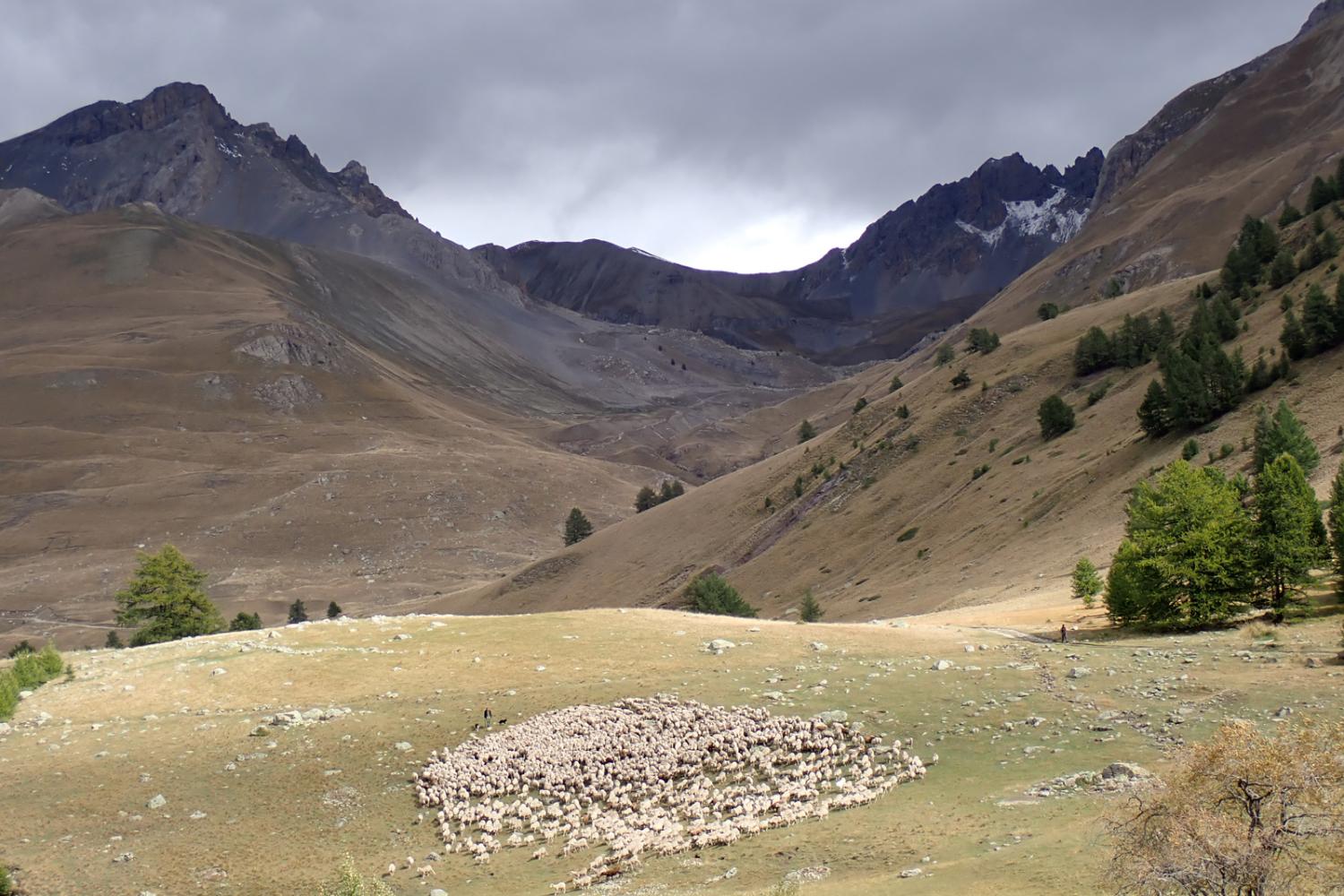 Les 6eme de l'Ubaye en montagne © F. Breton / PnM