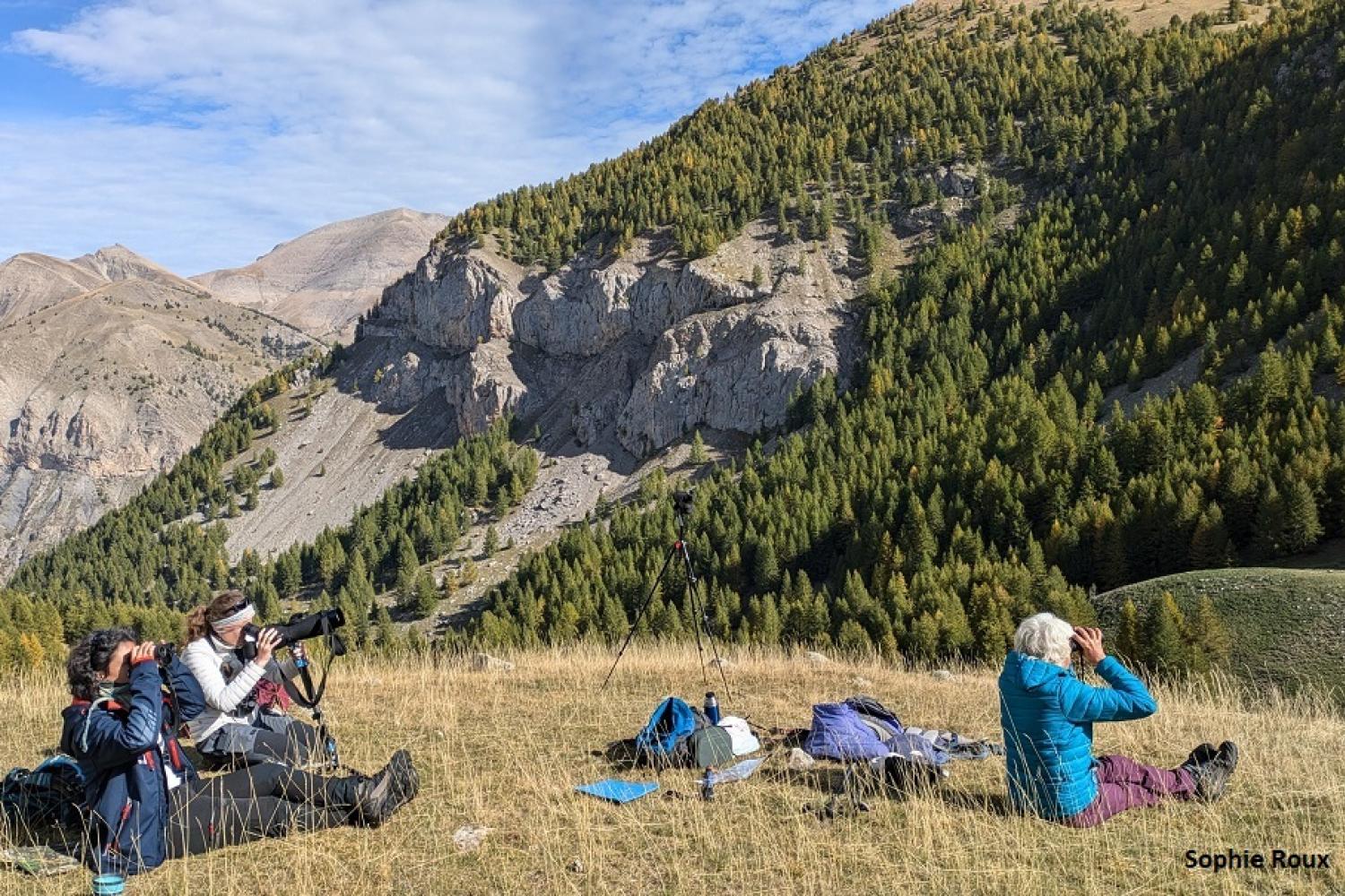 poste d'observation dans le Verdon © S. Roux / PnM