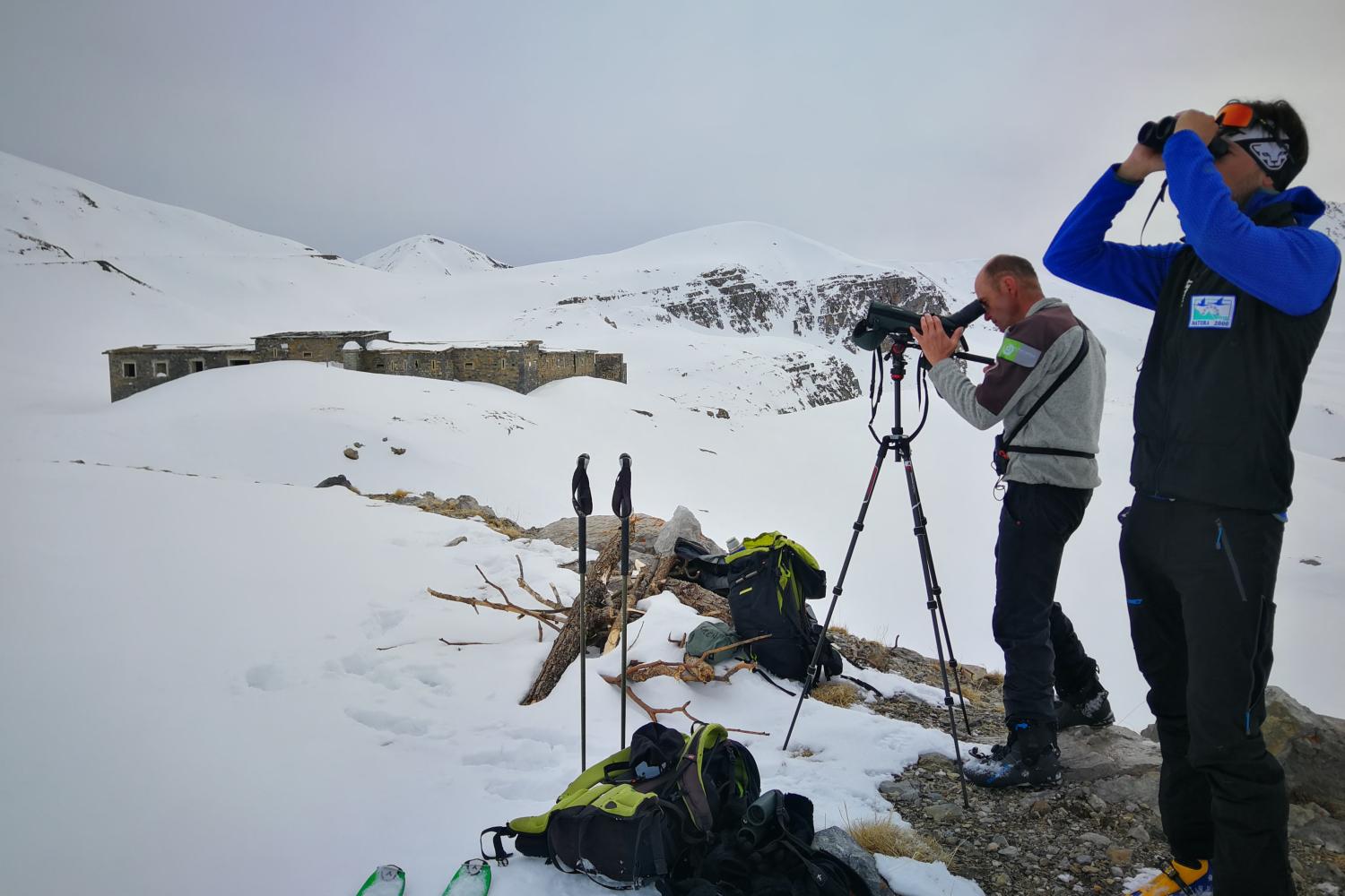 à la recherche de la perdrix des neiges © L. Klein / PnM