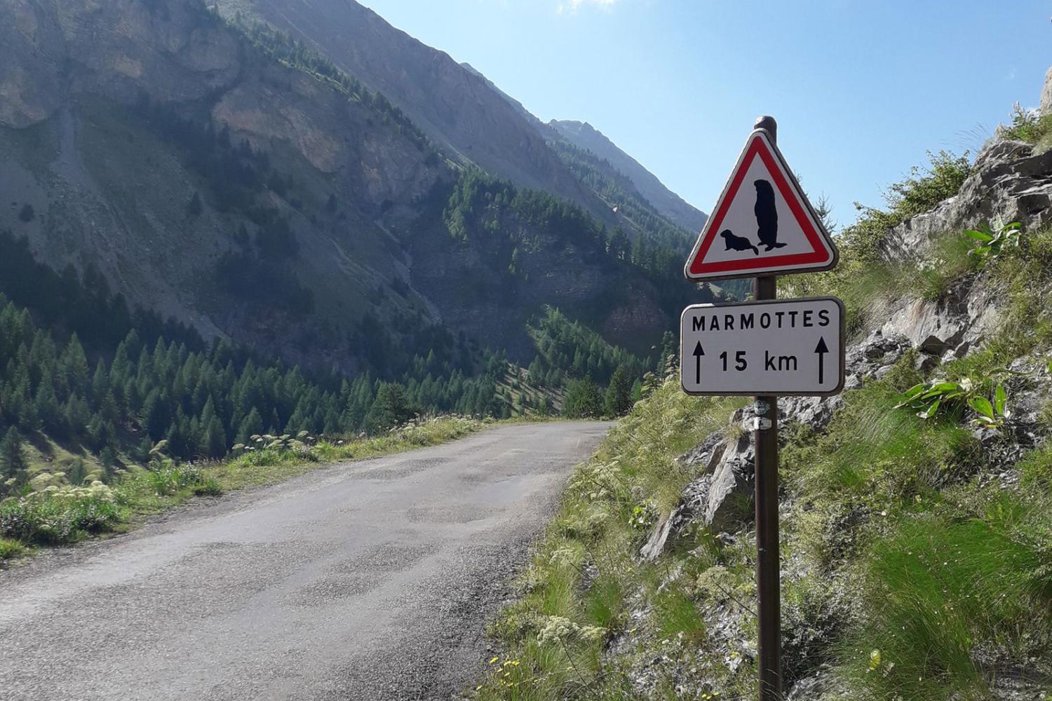 Les routes du Mercantour sont belles mais aussi dangereuses © L. Klein / PnM