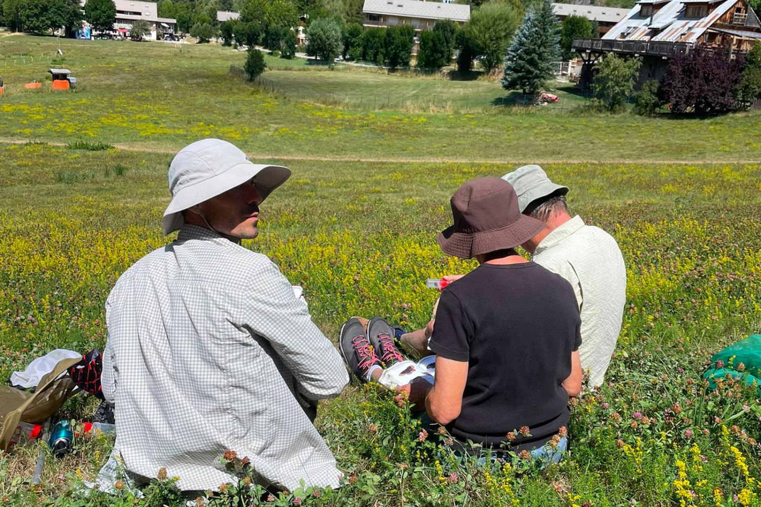 Inventaire participatif des papillons de jour d’Allos © M. Aferiat / PnM