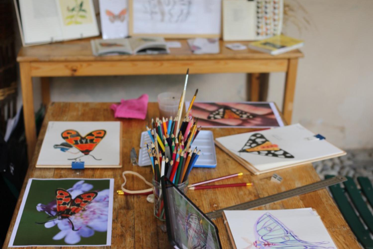 Dernier atelier dessin sur le thème des papillons © I. Lhommedet / PnM