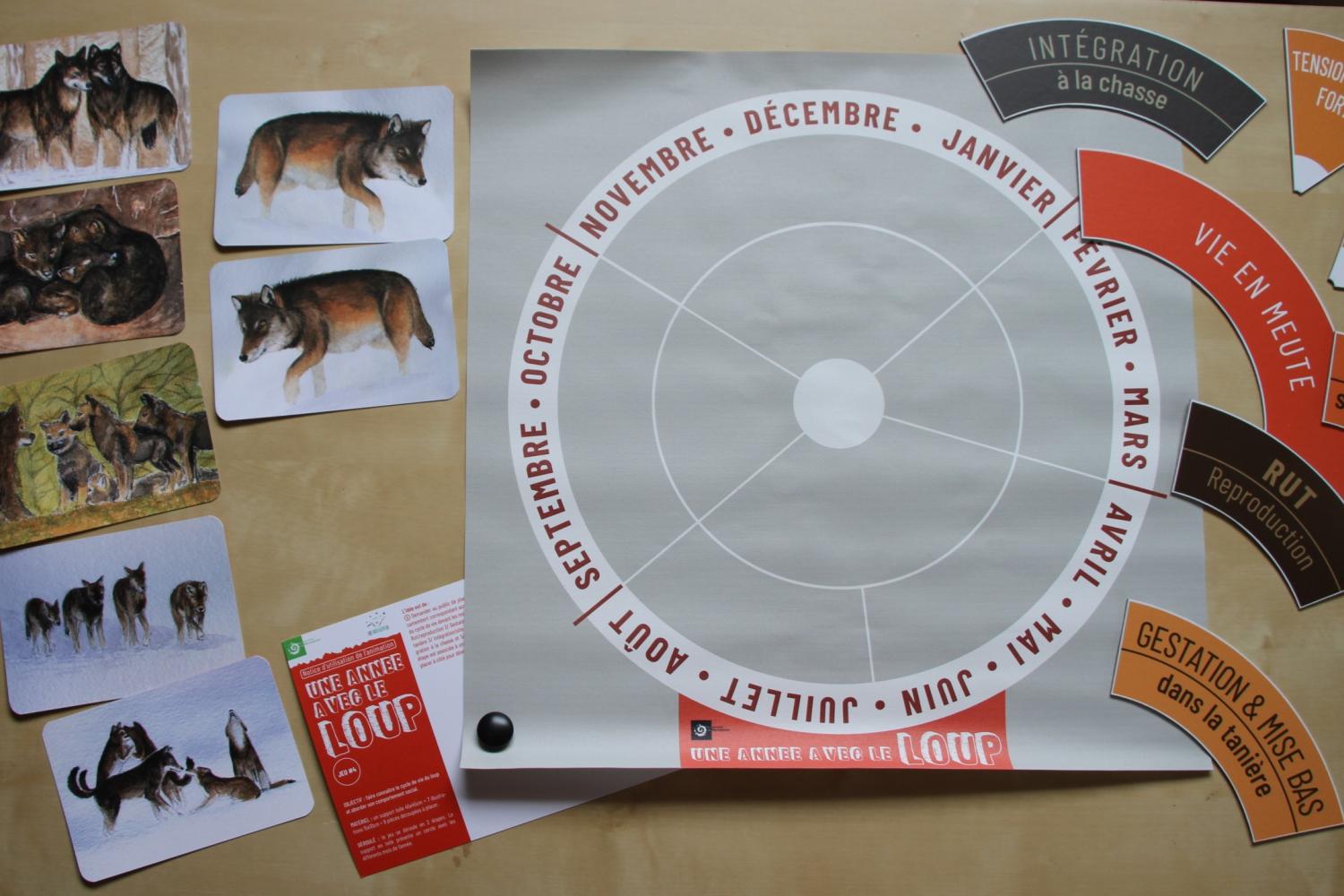 Jeu 4 Une année avec le loup