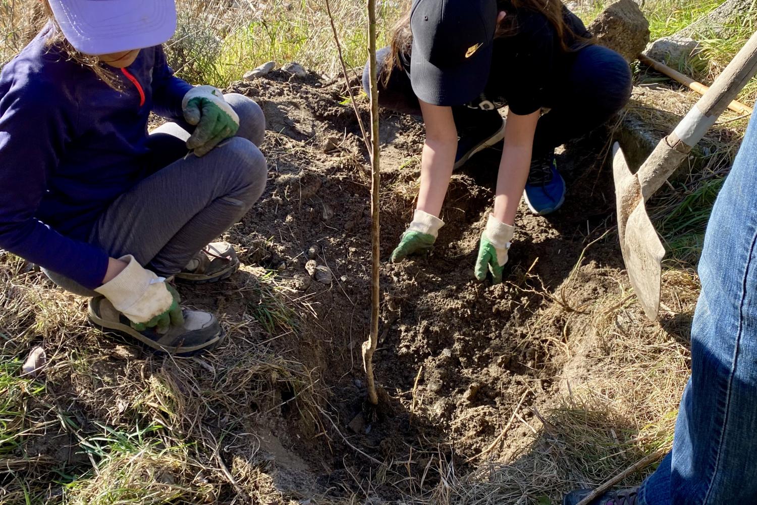 ©Emmanuel GASTAUD/PnM