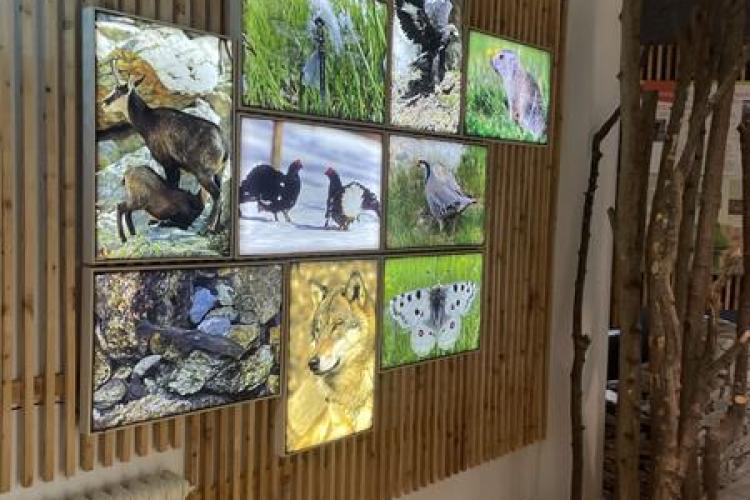 Maison du Parc national du Mercantour - Vallée de la Roya et de la Bévéra_Tende