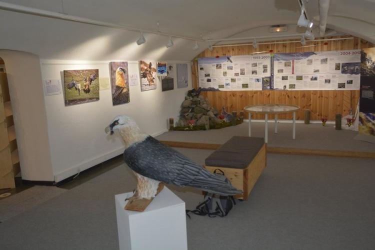 Maison du Parc national du Mercantour - Vallée de l'Ubaye_Barcelonnette - salle Expo