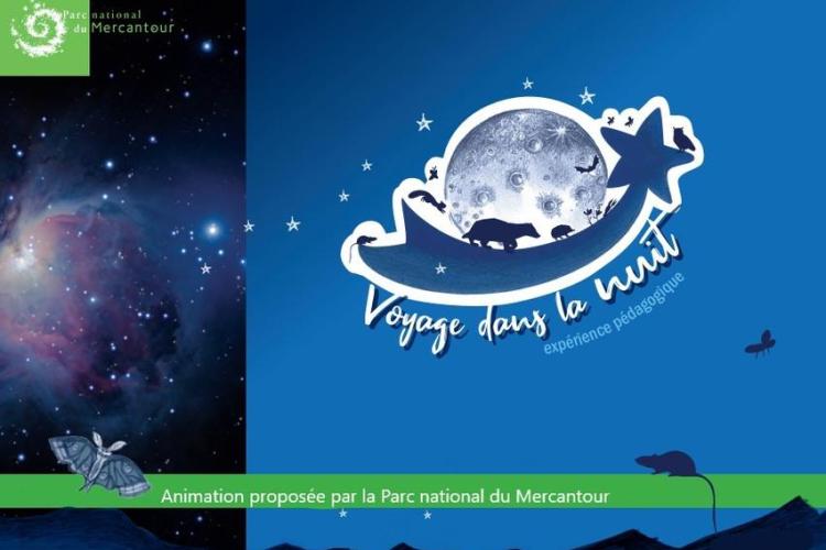 Animaux nocturnes - Animaux nocturnes