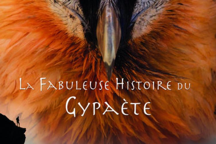 La fabuleuse histoire du gypaète