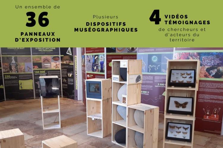 Expo Biodiversité (In)visible 1 - Expo Biodiversité (In)visible