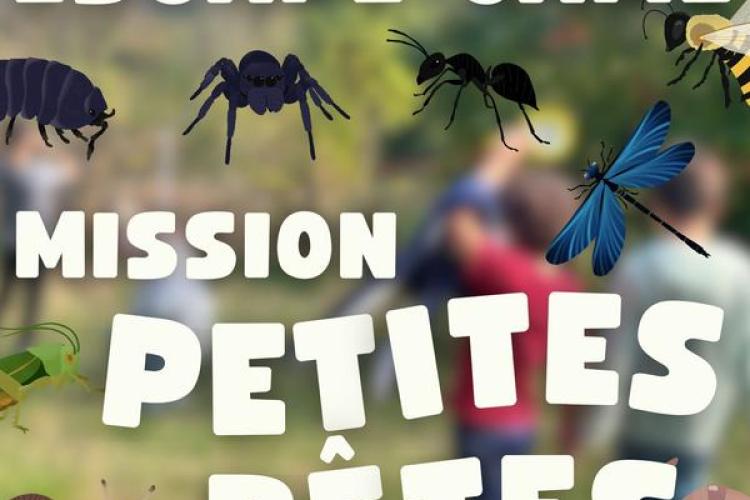 Escape game les petites bêtes._Saint-Étienne-de-Tinée
