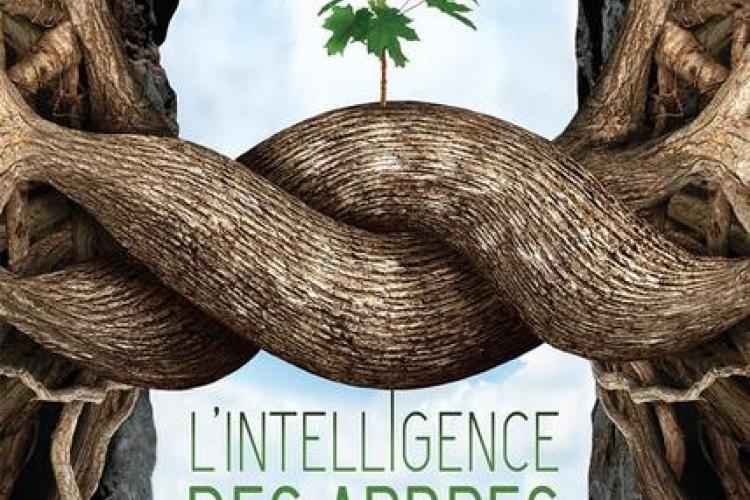 L'intelligence des arbres - L'intelligence des arbres