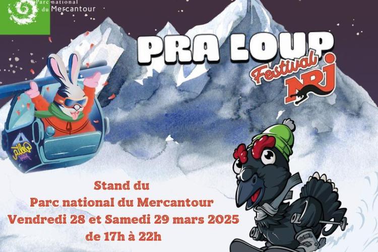 Stand du Parc national du Mercantour au PraLoup Festival 2025 : Le Tétras-Lyre en Star !_Pra Loup 1600 - Stand du Parc national du Mercantour au PraLoup Festival 2025 : Le Tétras-Lyre en Star !_Pra Loup 1600