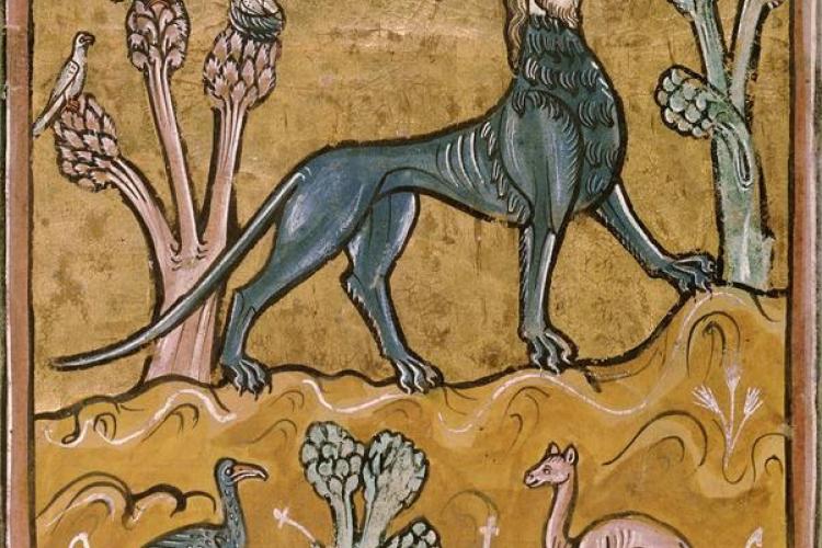 Conférence : Bestiaire imaginaire, chimères et légendes de la faune des montagnese_Barcelonnette - Manticore, Bestiaire de Rochester , 13e siècle.