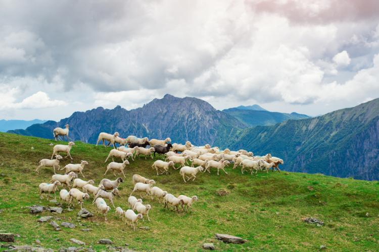 Rando Gourmande_Tende