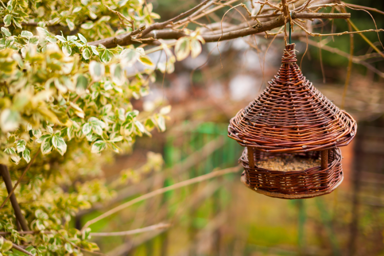 Atelier Vannerie Sauvage : réalisez votre mangeoire pour oiseaux_Tende
