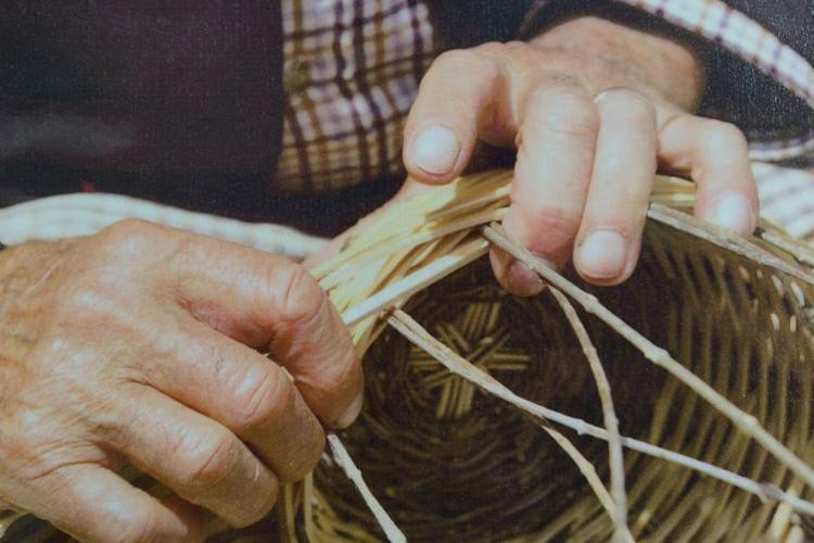 Atelier Vannerie Sauvage : réalisez votre mangeoire pour oiseaux_Tende