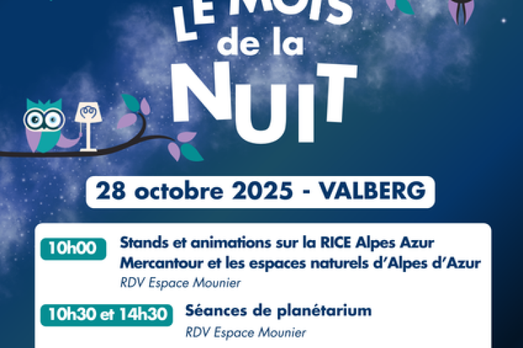 Affiche_Mois de la Nuit 2025_Valberg - Affiche_Mois de la Nuit 2025_Valberg