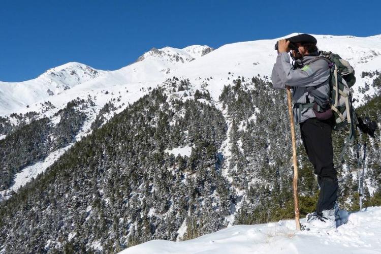 Le Mercantour en hiver : à la découverte d’une nature fragile_Tende
