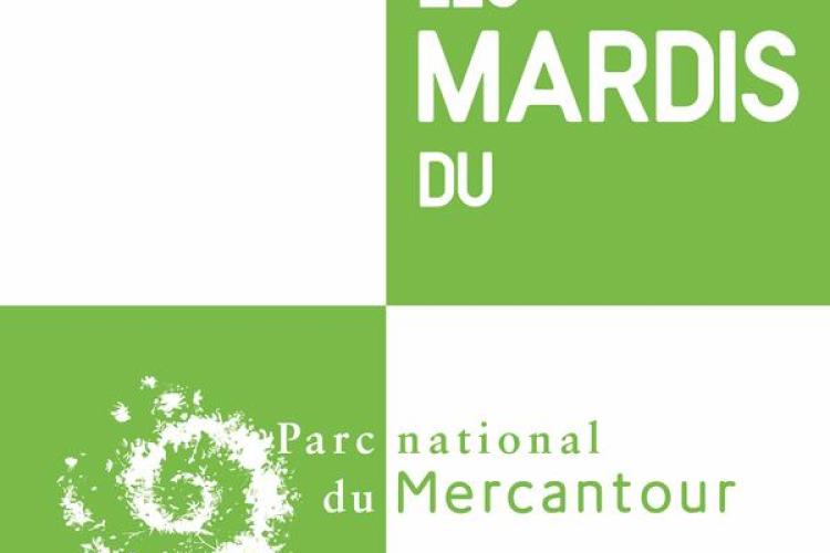 Les mardis du PNM_Valberg - Les mardis du PNM