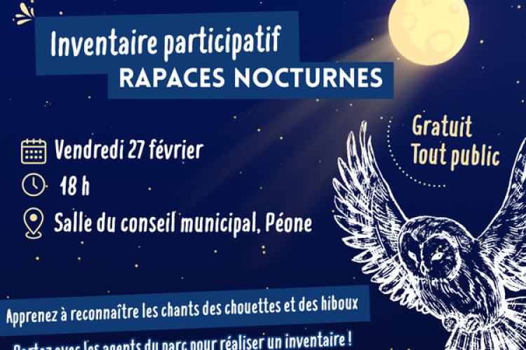 Inventaire participatif " Rapaces nocturnes"_Péone - Inventaire participatif " Rapaces nocturnes"