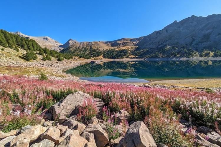 Biodiversité : connaître pour protéger_Allos - Lac d'Allos en été