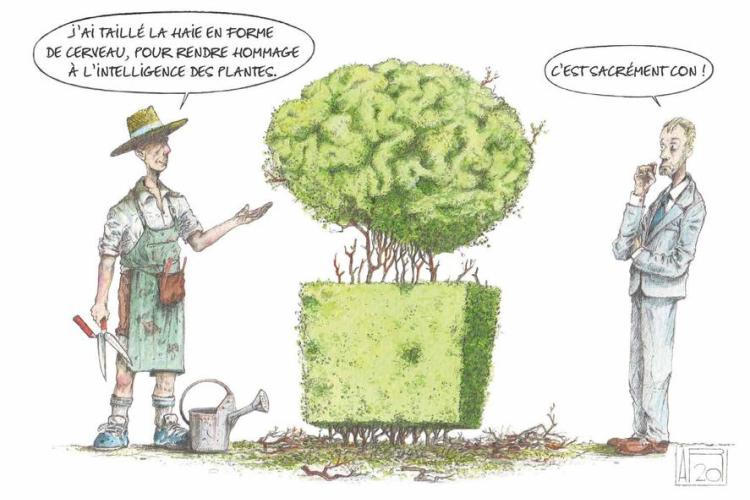 Conférence en plein-air : Communication des plantes et des arbres, une approche sensible et scientifique_Tende