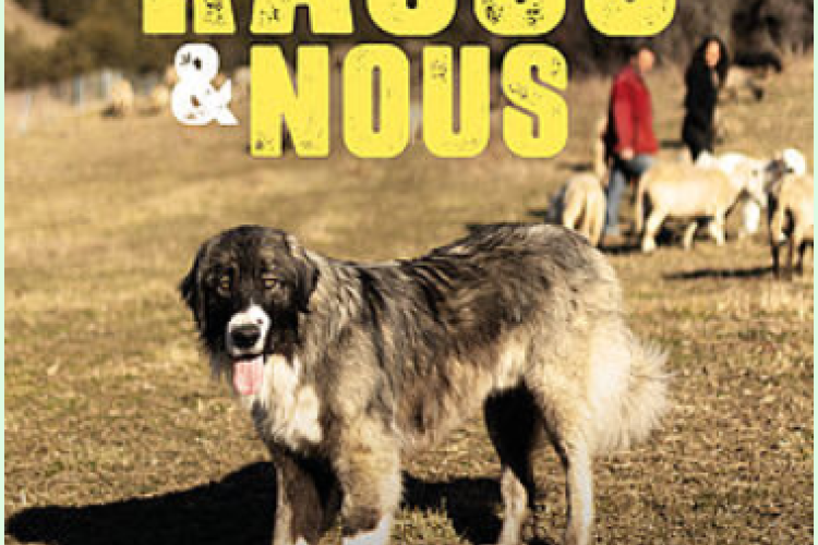 Rasco et nous - Au voisinage des chiens de protection des troupeau_Entraunes