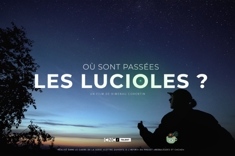 O&ugrave; sont pass&eacute;es les lucioles_P&eacute;one