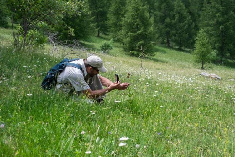 Inventaire de la biodiversit&eacute;_Valberg