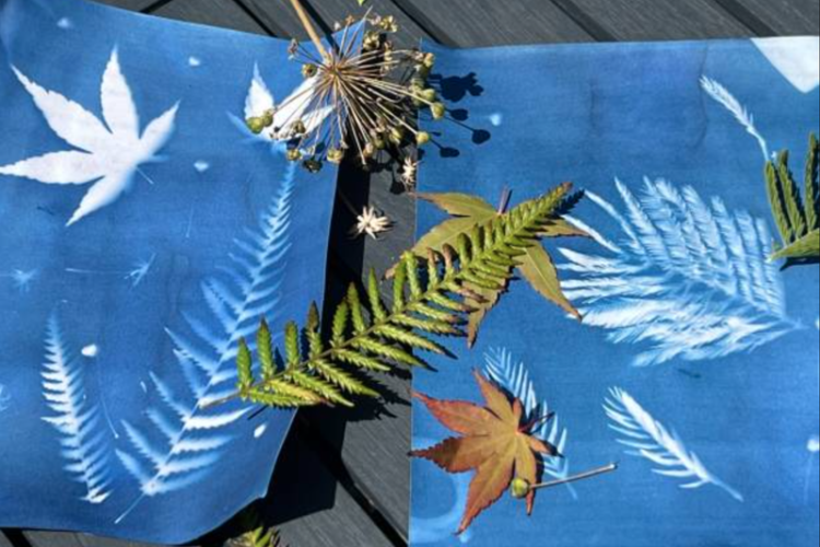 Atelier Cyanotypes_Tende - Atelier Cyanotypes