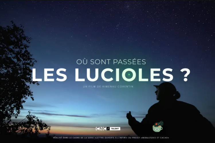 Soir&eacute;e cin&eacute; nature "O&ugrave; sont pass&eacute;es les lucioles ?"_Moulinet - Soir&eacute;e cin&eacute; nature "O&ugrave; sont pass&eacute;es les lucioles ?"
