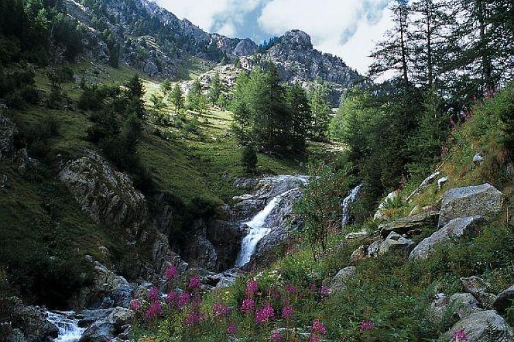 Découverte du Haut-Boréon_Saint-Martin-Vésubie - Vallon du Boréon